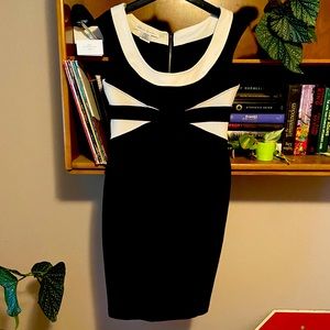 Form fitting career dress